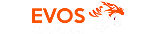 EVOSGAMING x Lensa Wartawan Logo